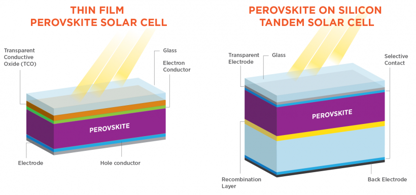 perovskite solar cells