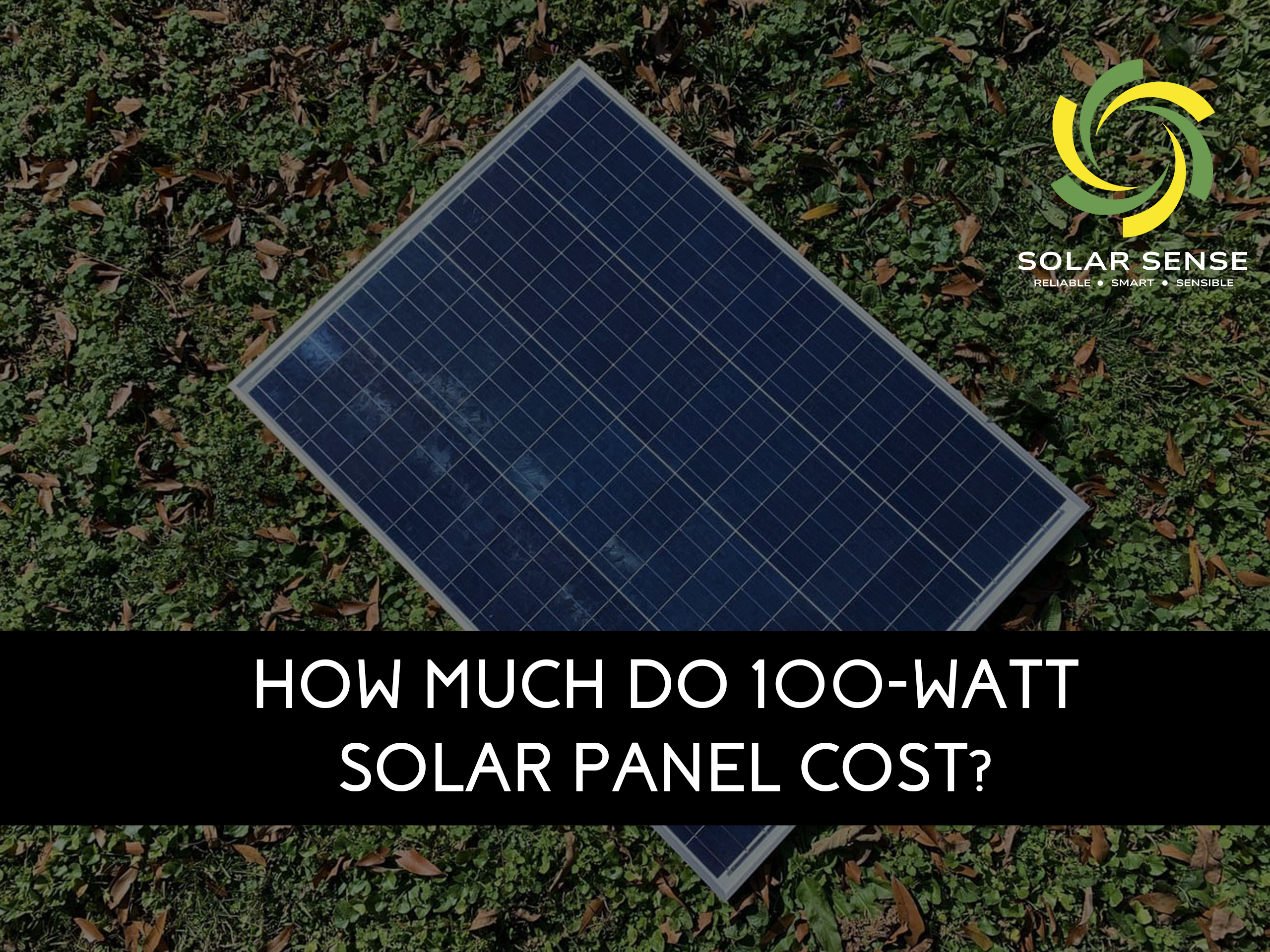 100-Watt Solar Panel Cost